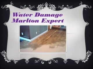 Water Damage
Marlton Expert
 