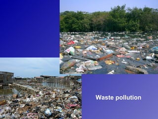 Waste pollution
 