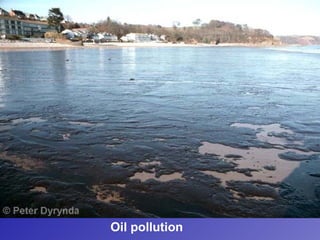 Oil pollution
 
