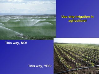 Use drip irrigation in
                                     agriculture!




This way, NO!




                This way, YES!
 