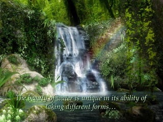 The beauty of water is unique in its ability of
         taking different forms…
 