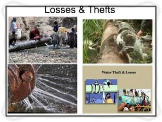 Losses & Thefts
 
