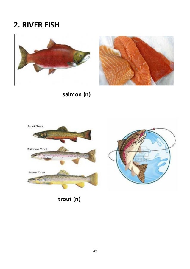 Water dictionary