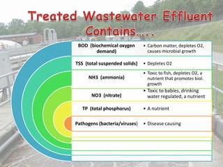 BOD (biochemical oxygen
demand)
TSS (total suspended solids)
NH3 (ammonia)
NO3 (nitrate)
TP (total phosphorus)
Pathogens (bacteria/viruses)
• Carbon matter, depletes O2,
causes microbial growth
• Depletes O2
• Toxic to fish, depletes O2, a
nutrient that promotes biol.
growth
• Toxic to babies, drinking
water regulated, a nutrient
• A nutrient
• Disease causing
 