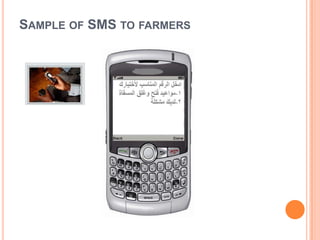 SAMPLE OF SMS TO FARMERS
 