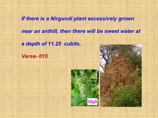 If there is a Nirgundi plant excessively grown

near an anthill, then there will be sweet water at

a depth of 11.25 cubits.

Verse- 015
 
