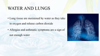WATER AND LUNGS
• Lung tissue are moistened by water as they take
in oxygen and release carbon dioxide
• Allergies and asthmatic symptoms are a sign of
not enough water
 