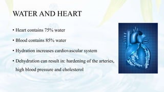 WATER AND HEART
• Heart contains 75% water
• Blood contains 85% water
• Hydration increases cardiovascular system
• Dehydration can result in: hardening of the arteries,
high blood pressure and cholesterol
 