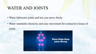 WATER AND JOINTS
• Water lubricates joints and lets you move freely
• Water maintains elasticity and easy movement for connective tissue of
joints
 