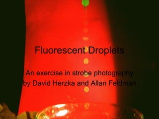 Fluorescent Droplets An exercise in strobe photography by David Herzka and Allan Feldman 