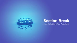 Section Break
Insert the Subtitle of Your Presentation
 