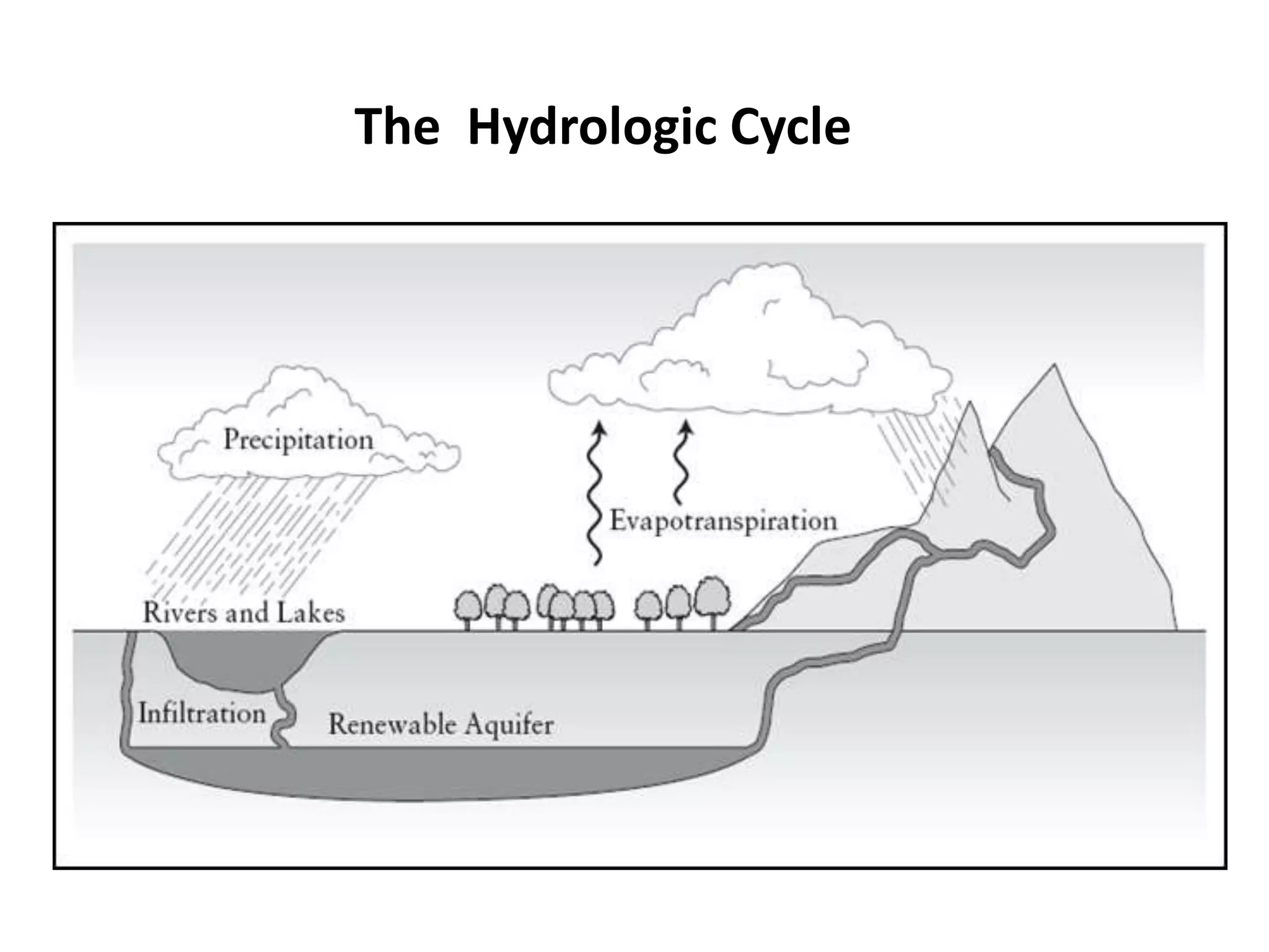 The Hydrologic Cycle
 