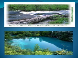 shakia | PPTX | Geography | Science