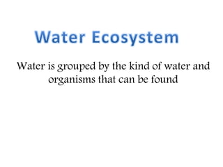 Water is grouped by the kind of water and
organisms that can be found
 