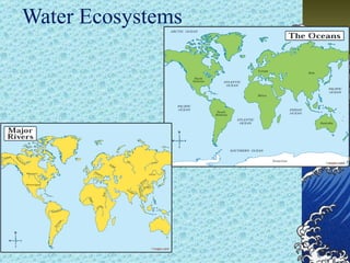 Water Ecosystems
 