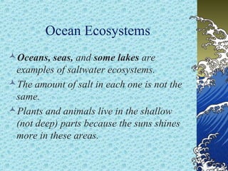 Ocean Ecosystems
Oceans, seas, and some lakes are
examples of saltwater ecosystems.
The amount of salt in each one is not the
same.
Plants and animals live in the shallow
(not deep) parts because the suns shines
more in these areas.

 