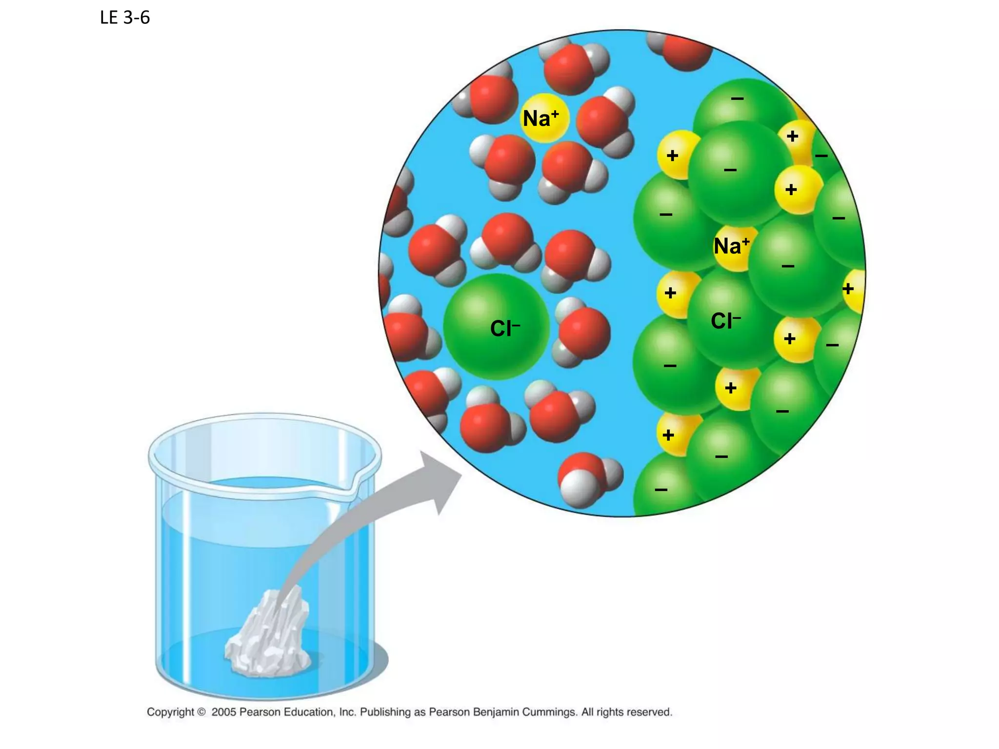 Mixture, Solutions and Suspensions…oh my!