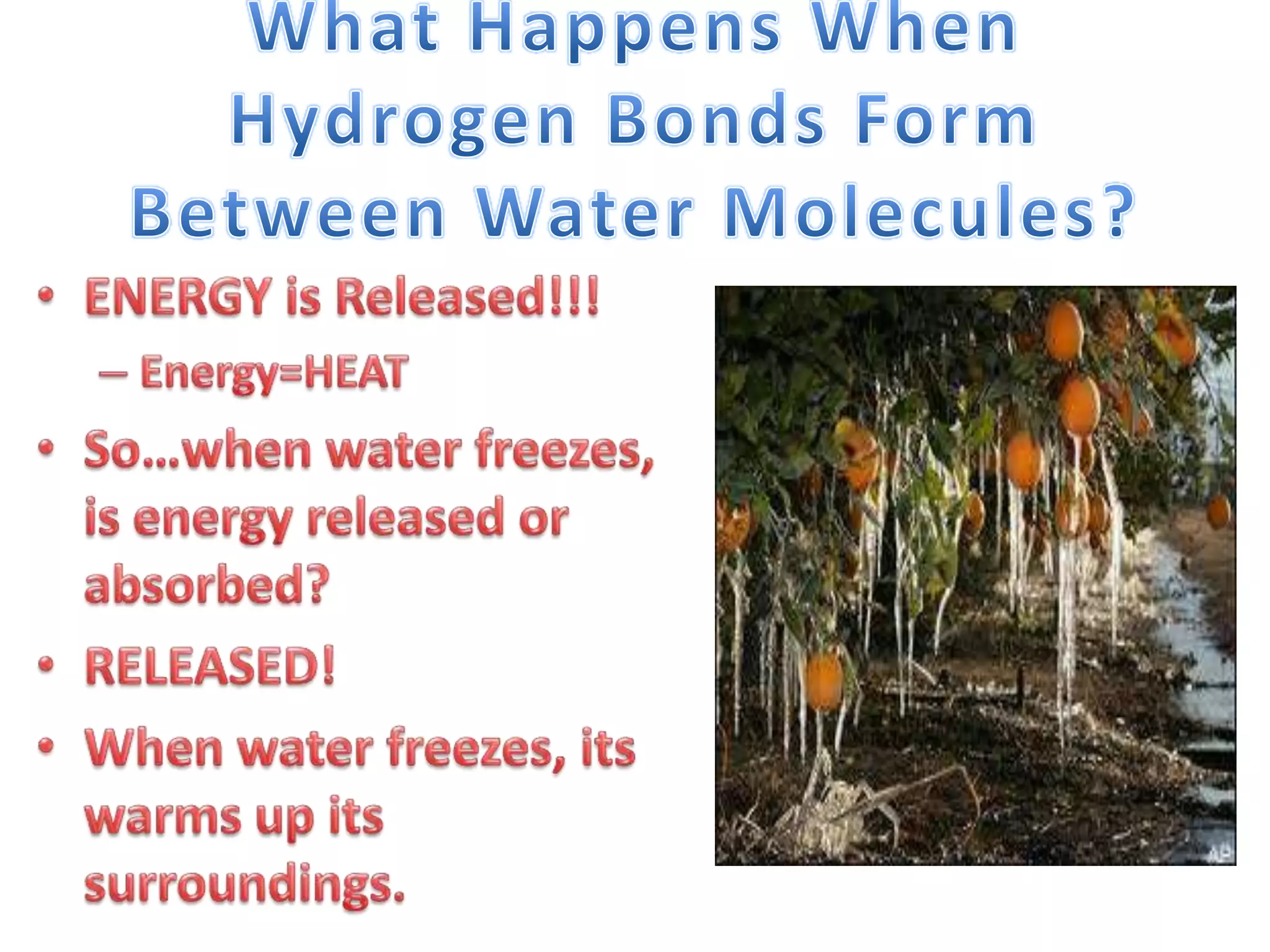 Solutes and solvents