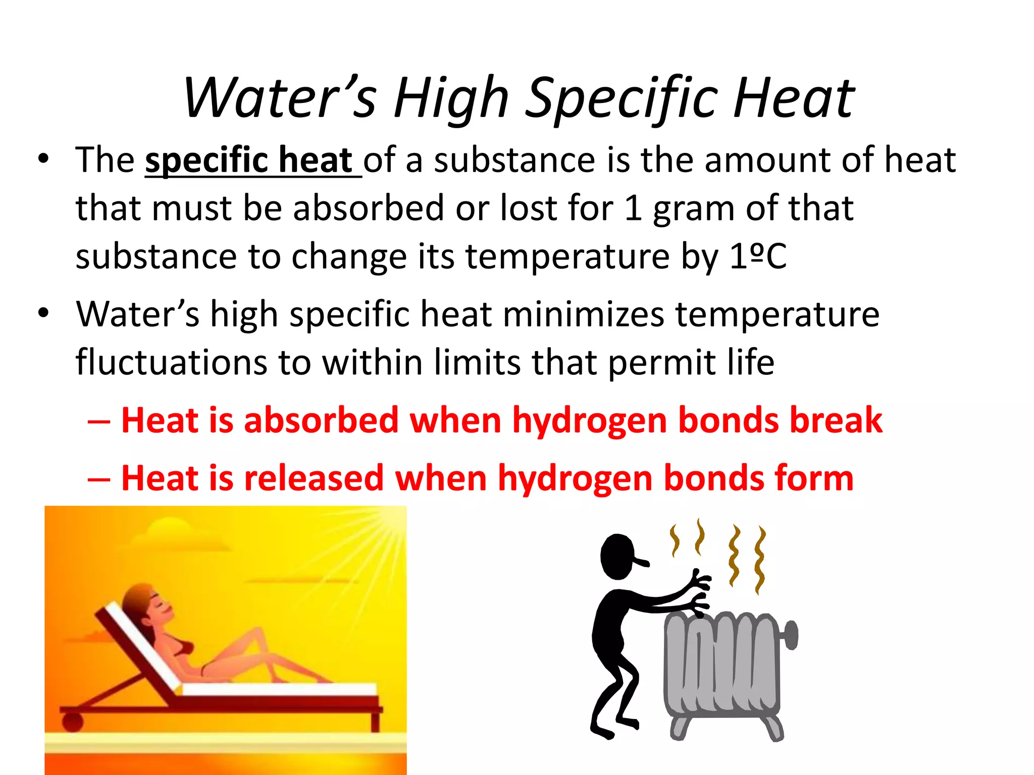 Some of the most biologically important substances are both solutions and suspensions