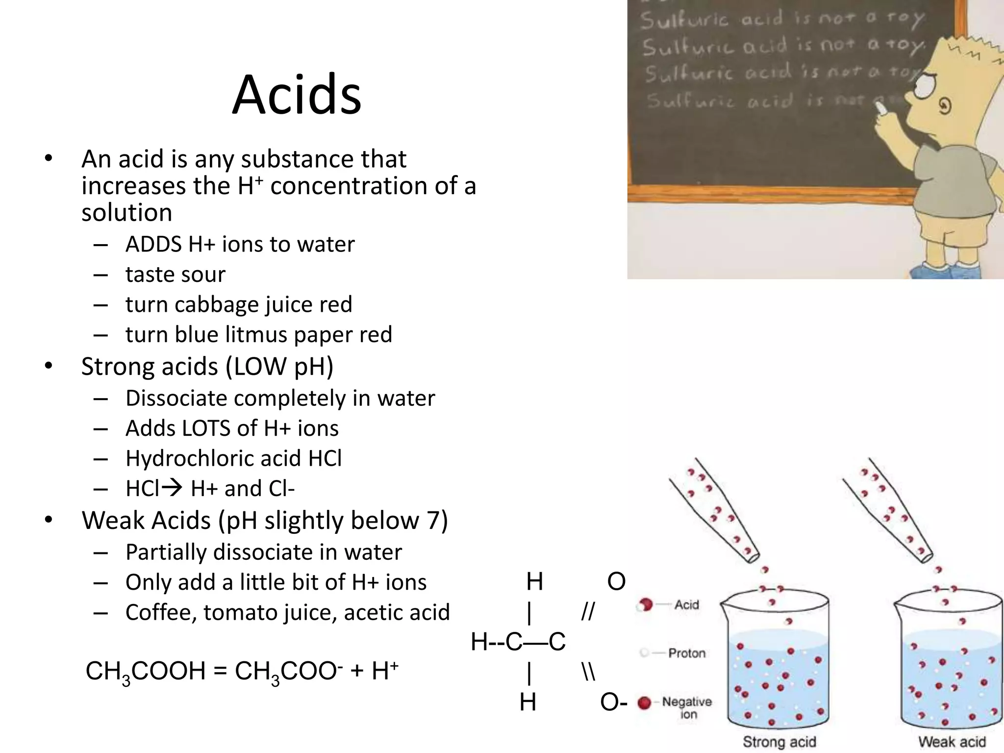Transpiration:Evaporation of water through the leaves of plants“stomata” are the tiny pores in the leaves of plants through which water (and oxygen) escapes…carbon dioxide enters here…