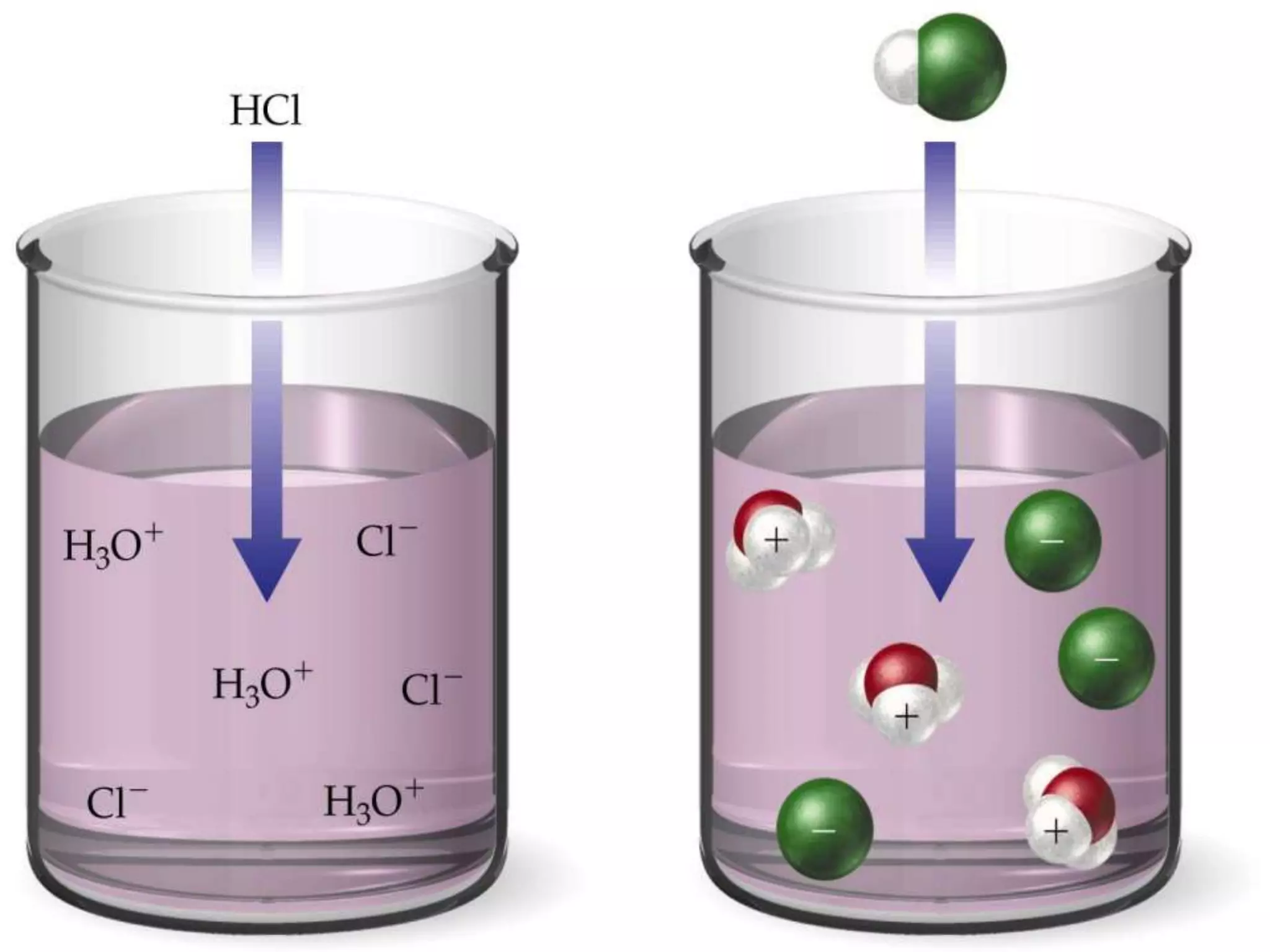 Cohesive and AdhesivebehaviorCohesion: whensimilarmolecules stick together (droplet of water)hydrogen bonds hold water molecules togetherCohesion helps the transport of water against gravity in plantsAdhesion: whenunlikemolecules stick together (water on glass)Adhesion of water to plant cell walls also helps to counter gravityHow does water getfromroots to the leaves of a  talltree?Capillary ActionDEF: The movement of water within the spaces of a porous material due to the forces of adhesion, cohesion, and surface tensionCapillary action occurs when the adhesion to the walls is stronger than the cohesive forces between the liquid molecules. 