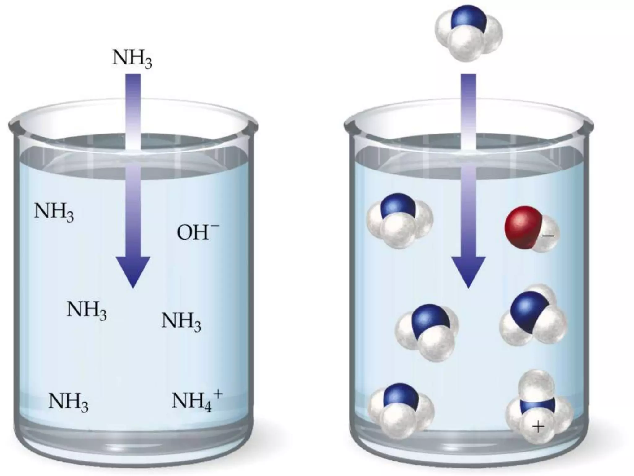 Cohesion accounts for SURFACE TENSIONSurface tension is a measure of how hard it is to break the surface of a liquid