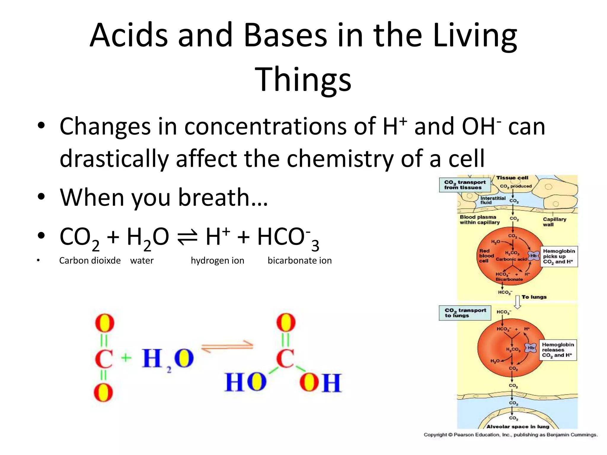 So…when water freezes, is energy released or absorbed?