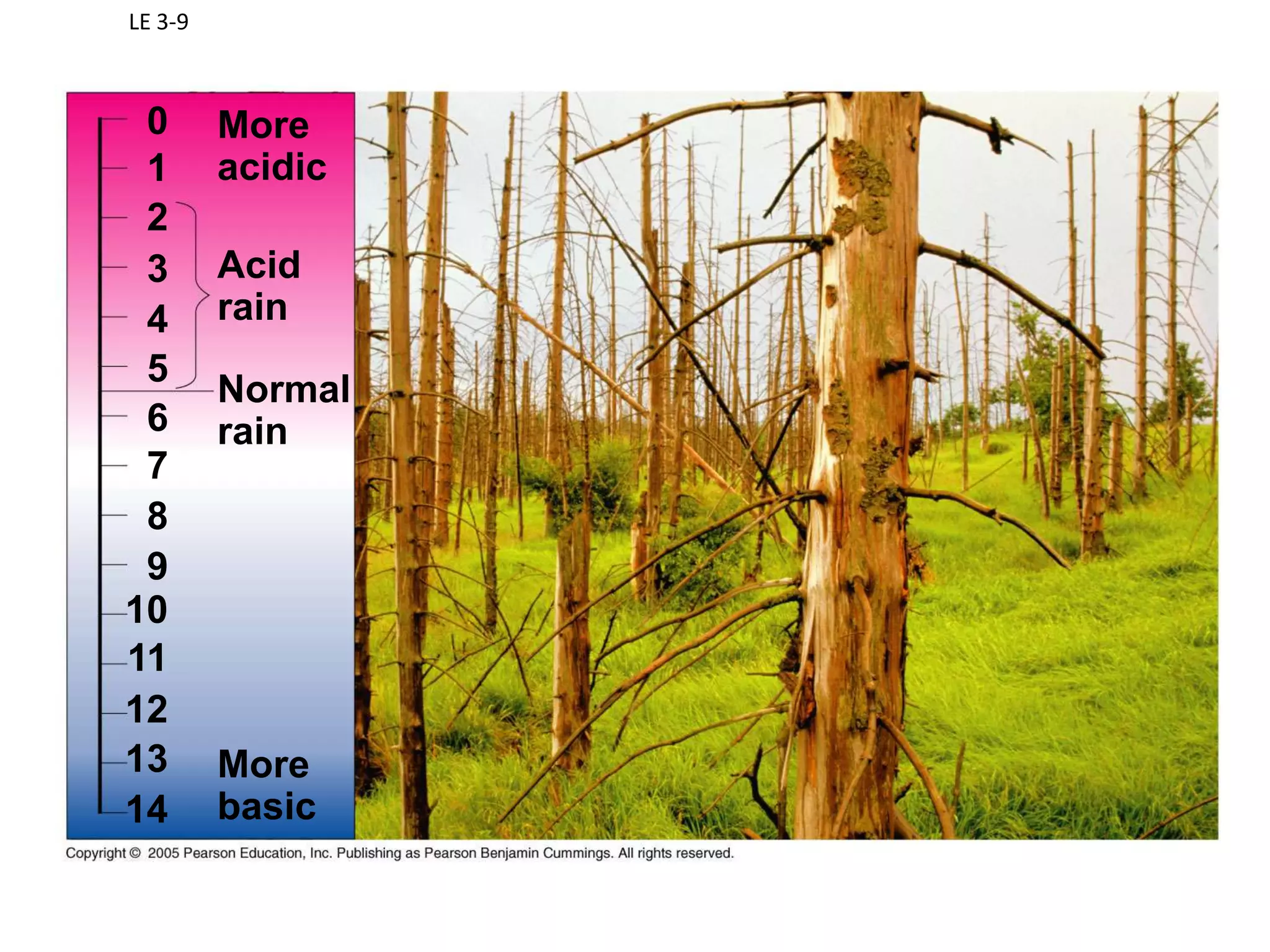 When water freezes, its warms up its surroundings.What Happens When Hydrogen Bonds Between Water Molecules Break???This REQUIRES ENERGY!!!