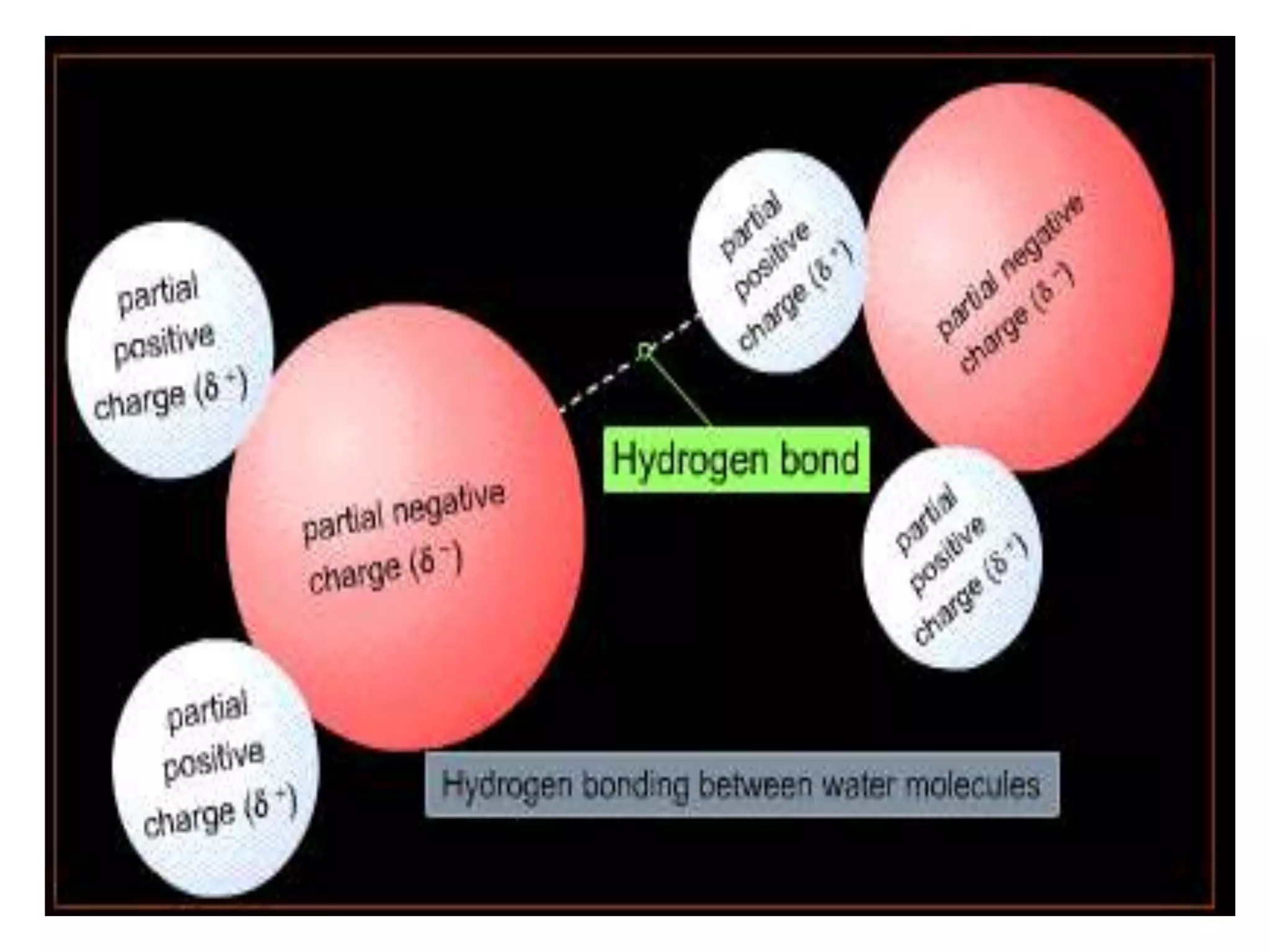 slight positive charge by hydrogens
