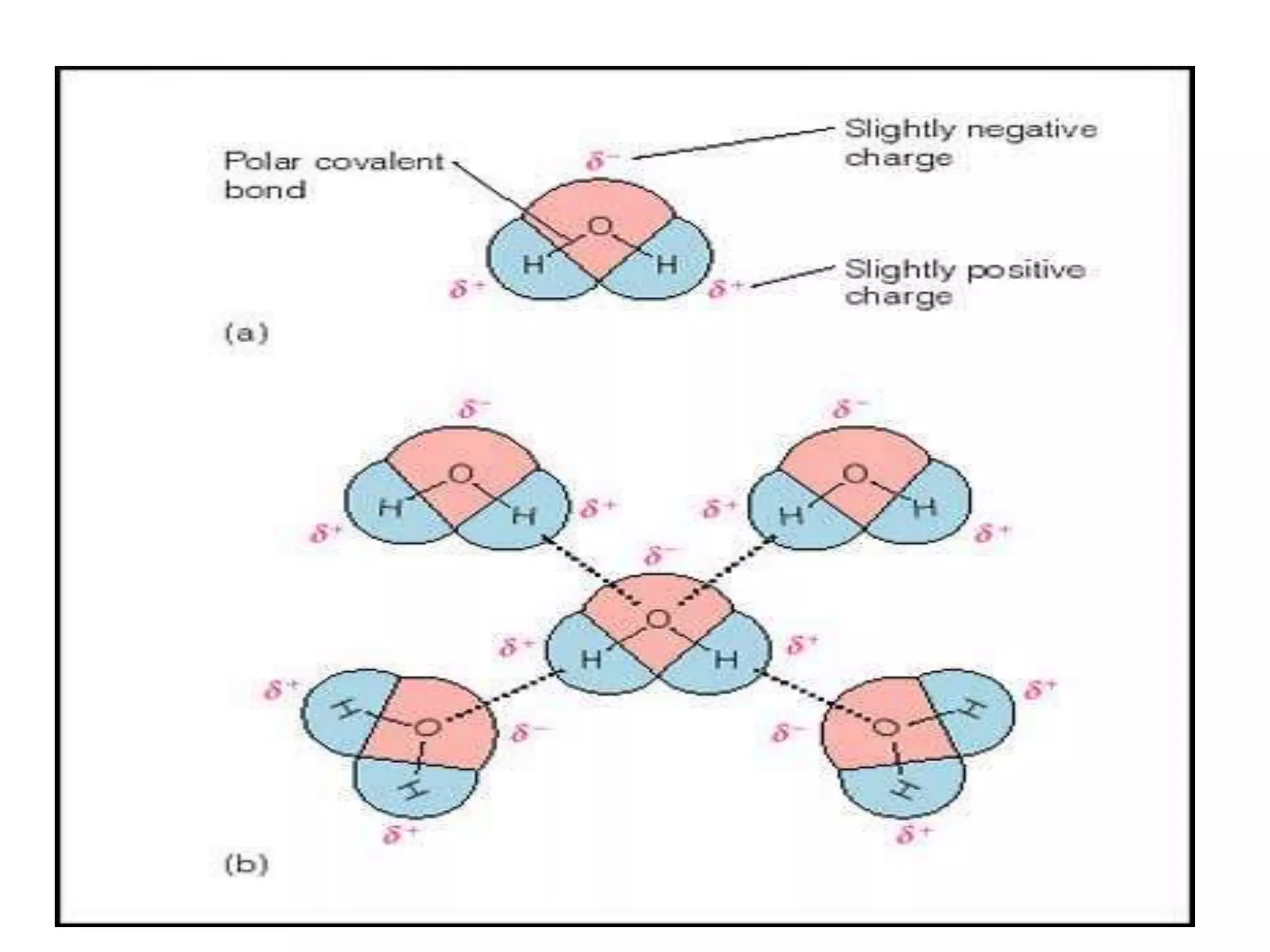 Slight negative charge by oxygen