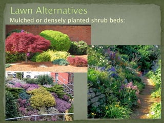 Mulched or densely planted shrub beds:
 