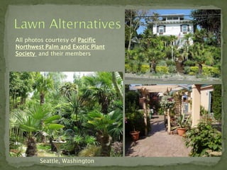 All photos courtesy of Pacific
Northwest Palm and Exotic Plant
Society and their members




        Seattle, Washington
 