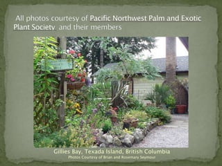 Gillies Bay, Texada Island, British Columbia
     Photos Courtesy of Brian and Rosemary Seymour
 