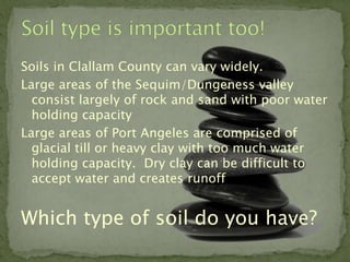 Soils in Clallam County can vary widely.
Large areas of the Sequim/Dungeness valley
  consist largely of rock and sand with poor water
  holding capacity
Large areas of Port Angeles are comprised of
  glacial till or heavy clay with too much water
  holding capacity. Dry clay can be difficult to
  accept water and creates runoff


Which type of soil do you have?
 