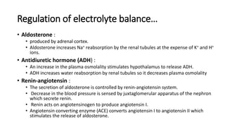 Regulation of electrolyte balance…
• Aldosterone :
• produced by adrenal cortex.
• Aldosterone increases Na+ reabsorption by the renal tubules at the expense of K+ and H+
ions.
• Antidiuretic hormone (ADH) :
• An increase in the plasma osmolality stimulates hypothalamus to release ADH.
• ADH increases water reabsorption by renal tubules so it decreases plasma osmolality
• Renin-angiotensin :
• The secretion of aldosterone is controlled by renin-angiotensin system.
• Decrease in the blood pressure is sensed by juxtaglomerular apparatus of the nephron
which secrete renin.
• Renin acts on angiotensinogen to produce angiotensin I.
• Angiotensin converting enzyme (ACE) converts angiotensin I to angiotensin II which
stimulates the release of aldosterone.
 