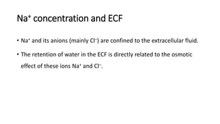 Na+ concentration and ECF
• Na+ and its anions (mainly Cl–) are confined to the extracellular fluid.
• The retention of water in the ECF is directly related to the osmotic
effect of these ions Na+ and Cl–.
 