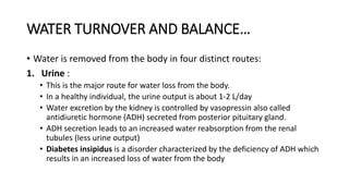 WATER TURNOVER AND BALANCE…
• Water is removed from the body in four distinct routes:
1. Urine :
• This is the major route for water loss from the body.
• In a healthy individual, the urine output is about 1-2 L/day
• Water excretion by the kidney is controlled by vasopressin also called
antidiuretic hormone (ADH) secreted from posterior pituitary gland.
• ADH secretion leads to an increased water reabsorption from the renal
tubules (less urine output)
• Diabetes insipidus is a disorder characterized by the deficiency of ADH which
results in an increased loss of water from the body
 