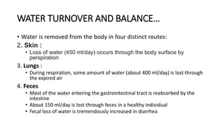 WATER TURNOVER AND BALANCE…
• Water is removed from the body in four distinct routes:
2. Skin :
• Loss of water (450 ml/day) occurs through the body surface by
perspiration
3. Lungs :
• During respiration, some amount of water (about 400 ml/day) is lost through
the expired air
4. Feces
• Most of the water entering the gastrointestinal tract is reabsorbed by the
intestine
• About 150 ml/day is lost through feces in a healthy individual
• Fecal loss of water is tremendously increased in diarrhea
 