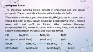 Phosphate Buffer
The phosphate buffering system consists of phosphoric acid and sodium
phosphate. These chemicals act similar to the bicarbonate buffer.
When sodium monohydrogen phosphate (Na2HPO4) comes in contact with a
strong acid, such as HCl, sodium dihydrogen phosphate(NaH2PO4), which is
weak acid, and NaCl are formed. When sodium dihydrogen
phosphate(NaH2PO4) comes in contact with a strong base, such as NaOH,
sodium monohydrogen phosphate and water are formed.
HCl + Na2HPO4 NaH2PO4 + NaCl
(strong acid) (weak base) (weak acid) (salt)
NaOH + NaH2PO4 Na2HPO4 + H2O
(strong base) (weak acid) (weak base) (water)
 