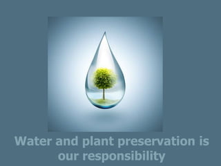 Water and plant preservation is
our responsibility
 