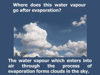 The water vapour which enters into
air through the process of
evaporation forms clouds in the sky.
Where does this water vapour
go after evaporation?
 