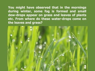 You might have observed that in the mornings
during winter, some fog is formed and small
dew-drops appear on grass and leaves of plants
etc. From where do these water-drops come on
the leaves and grass?
 