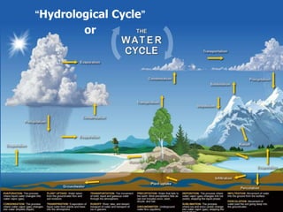 “Hydrological Cycle”
or
 