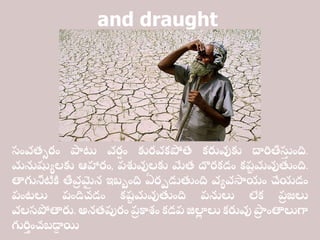 and draught
సంవత్సరం పాటు వర
ష ం కురవకపోతే కరువుకు దారితీస్
త ంది.
మనుష్యులకు ఆహారం, పశువులకు మేత్ దొరకడం కష్
ట మవుతంది.
తాగునీటికి తీవ
ర మ
ై న ఇబ్బంది ఏరపడుతంది వువసాయం చేయడం
పంటలు పండిచడం కష్
ట మవుతంది పనులు లేక ప
ర జలు
వలసపోతారు. అనత్పురం ప
ర కాశం కడప జిల్ల
ా లు కరువు పా
ర ంతాలుగా
గురి
త ంచబ్డ్డ
ా యి
 