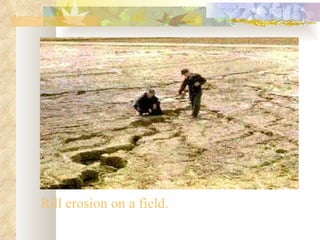 Rill erosion on a field.
 