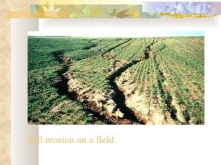 Rill erosion on a field.
 