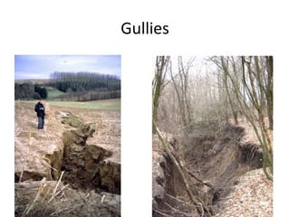Gullies

 