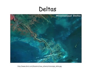 Deltas

http://www.dmcii.com/disasters/new_orleans/mississippi_delta.jpg

 