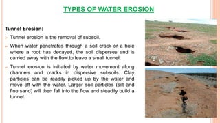 TYPES OF WATER EROSION
Tunnel Erosion:
 Tunnel erosion is the removal of subsoil.
 When water penetrates through a soil crack or a hole
where a root has decayed, the soil disperses and is
carried away with the flow to leave a small tunnel.
 Tunnel erosion is initiated by water movement along
channels and cracks in dispersive subsoils. Clay
particles can be readily picked up by the water and
move off with the water. Larger soil particles (silt and
fine sand) will then fall into the flow and steadily build a
tunnel.
 