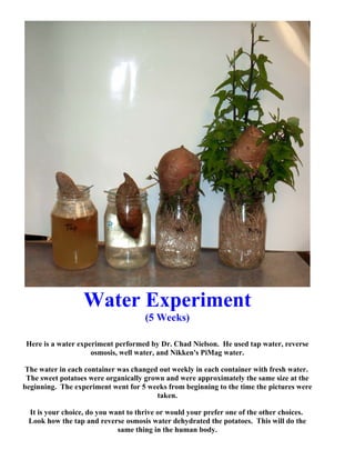 Water Experiment.Nielson[1] | PDF